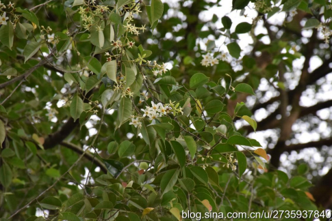 1737427427536921.png image.png