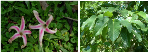 1737427476441831.png image.png