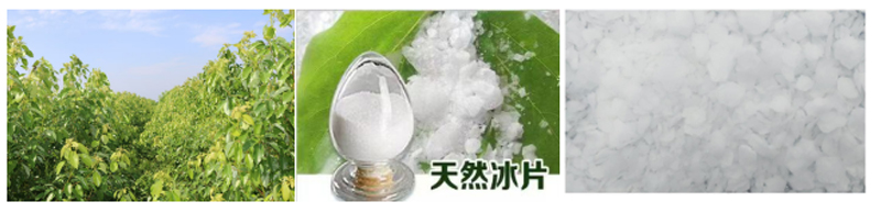 1740470197147749.jpg 1.jpg